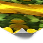 Calendula Garden..... Poster (Hoek)