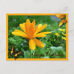 Calendula geel briefkaart