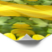 Calendula Love..... Poster (Hoek)