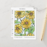 Calendula Materia Medica Herbal Studie Kaart