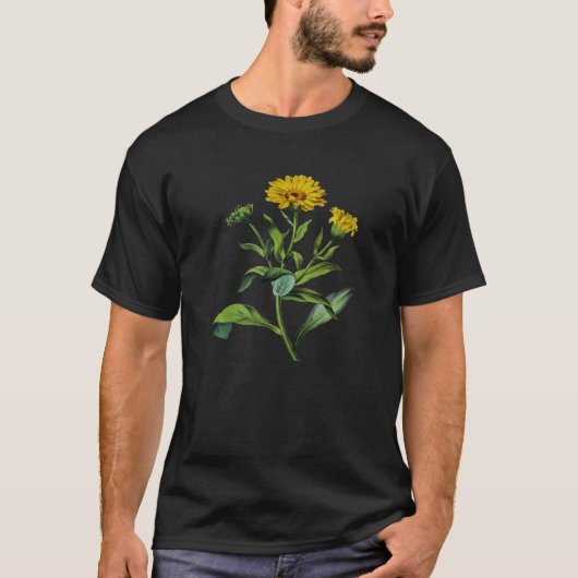 Calendula officinalis Botanical Vector Cut Out T-shirt (Voorkant)