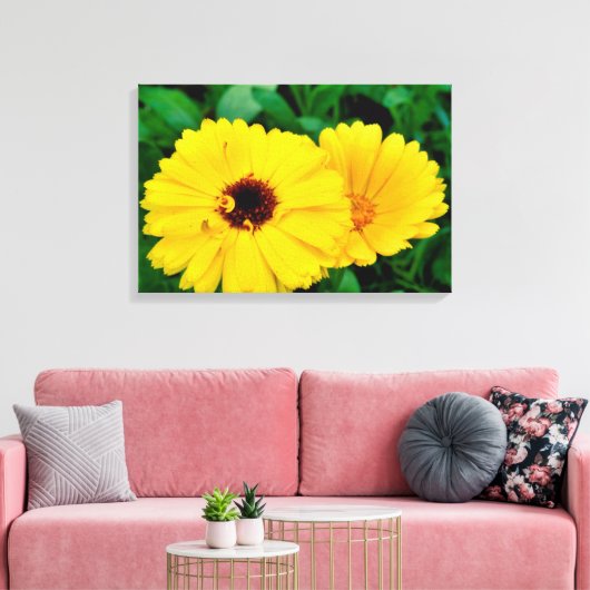 Calendula officinalis canvas afdruk (Insitu (Woonkamer))