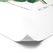 Calendula officinalis (Pot marigold) Poster (Hoek)