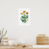 Calendula officinalis (Pot marigold) Poster (Keuken)