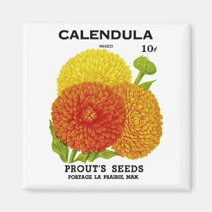 Calendula  zaadpakket magneet