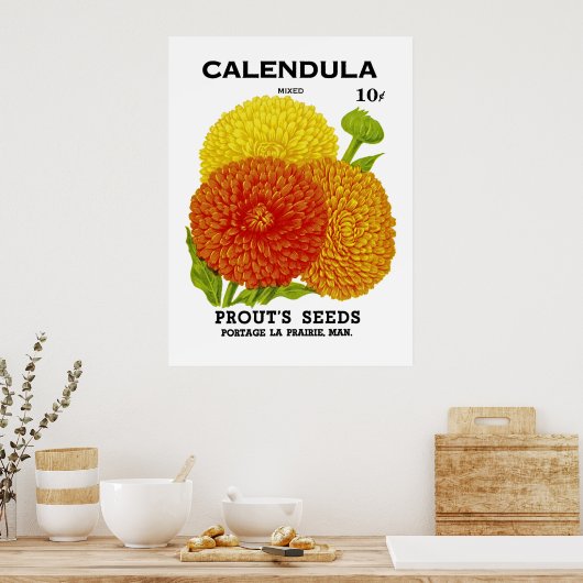 Calendula zaadpakket poster (Keuken)