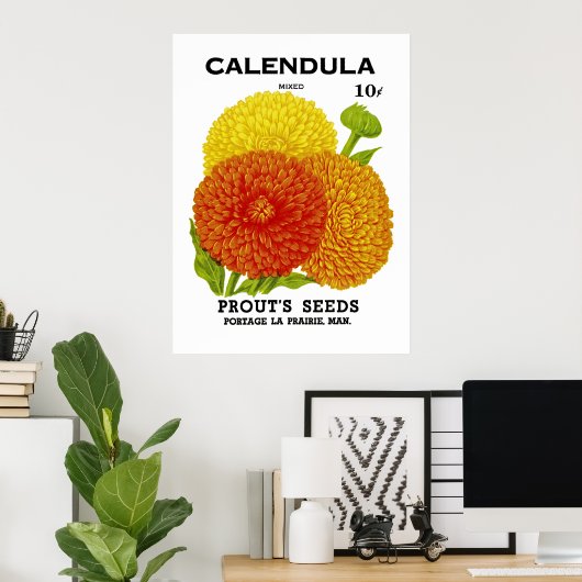 Calendula zaadpakket poster (Thuiskantoor)