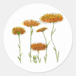 Calendulair Ronde Sticker