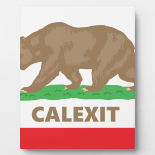 Calexit Fotoplaat