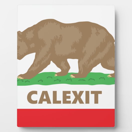 Calexit Fotoplaat (Voorkant)