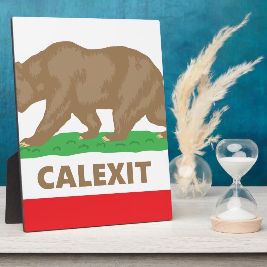 Calexit Fotoplaat (Zijkant)