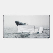 Calf de baleine à bosse (Clavier et souris)