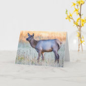 Calf Elk | Madison Junction, Wyoming Kaart (Gele Bloem)