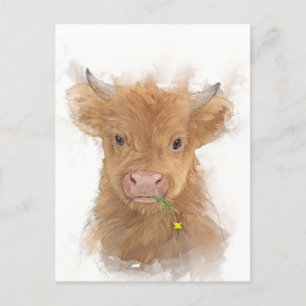 Calf Portrait voor Koe op het hoger gelegen Briefkaart