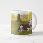 Calf Resting Jumbo Beker (Voorkant rechts)