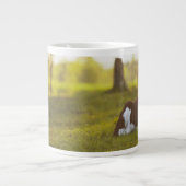 Calf Resting Jumbo Beker (Voorkant)