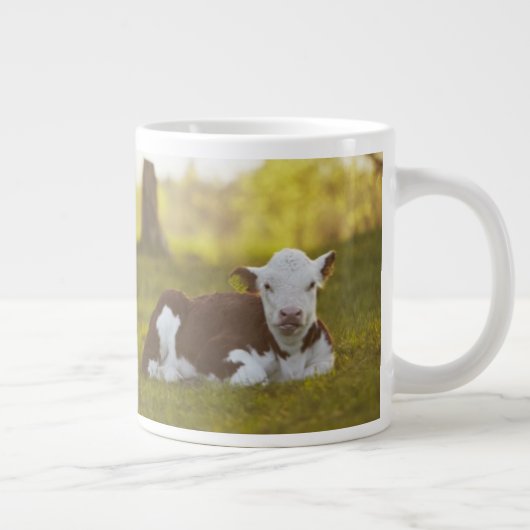 Calf Resting Jumbo Beker (Rechts)