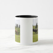 Calgary, Alberta, Canada Mok (Midden)