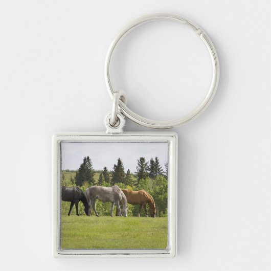 Calgary, Alberta, Canada Sleutelhanger (Voorkant)