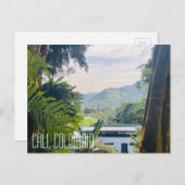 CALI COLOMBIA, oerwoud Briefkaart (Voorkant / Achterkant)