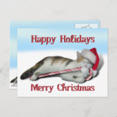 Cali, het Kat van het snoepriet Briefkaart (Voorkant / Achterkant)