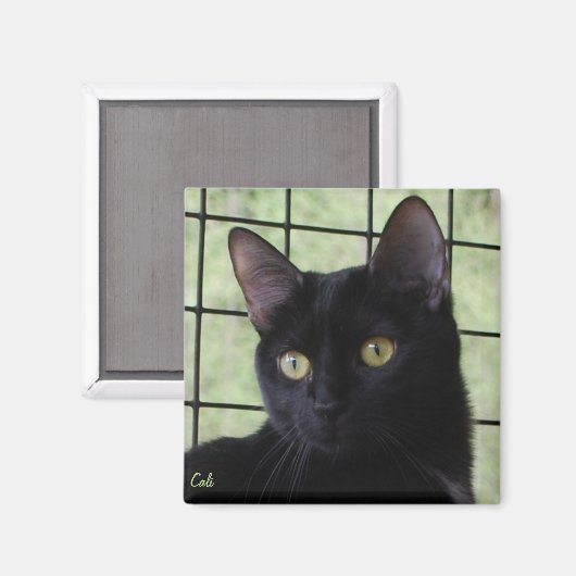 Cali Magneet (Voorkant / Achterkant)