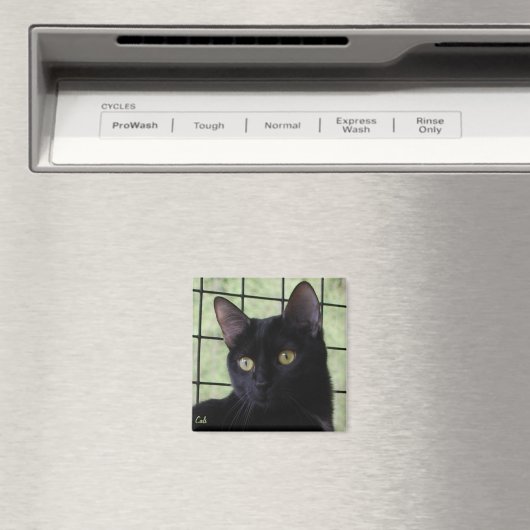 Cali Magneet (Insitu (Vaatwasser))