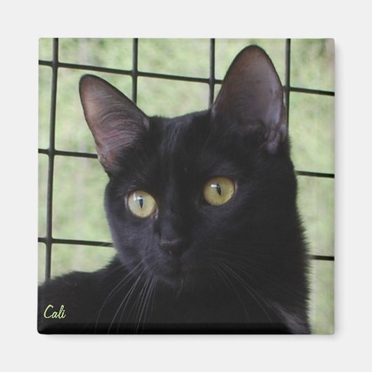 Cali Magneet (Voorkant)