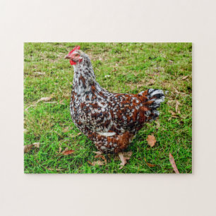 Calico Bantam Chicken Hen Legpuzzel