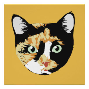 Calico Cat Bonita Perfect Poster