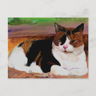 Calico Cat Briefkaart