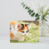Calico Cat Briefkaart (Staand voorkant)