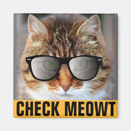 CALICO CAT, CHECK MEOWT MAGNETS (Devant)
