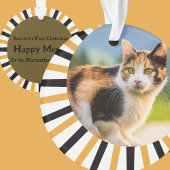 Calico Cat First Christmas