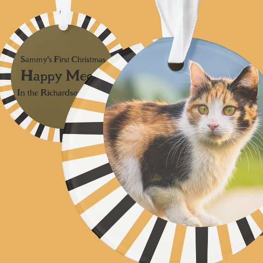 Calico Cat First Christmas