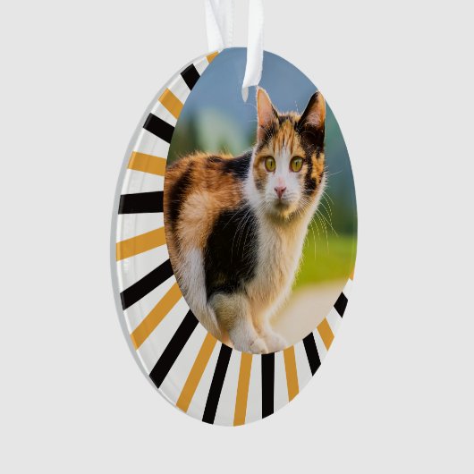 Calico Cat First Christmas Ornament (voorkant)