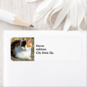  Calico Cat-foto Etiket (Insitu)