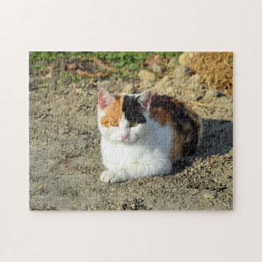  Calico Cat-foto Legpuzzel (Horizontaal)