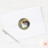  Calico Cat-foto Ronde Sticker (Envelop)