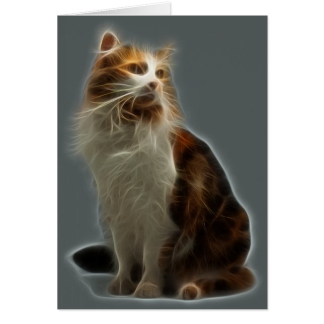 Calico Cat Fractal (Voorkant)