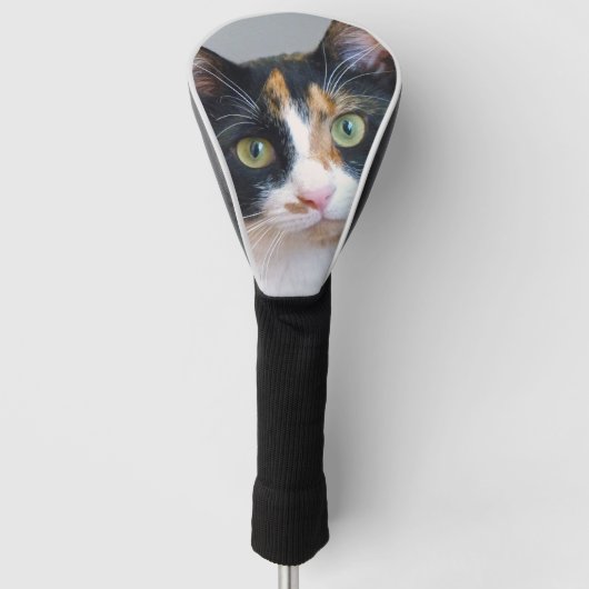 Calico Cat Golfheadcover (Voorkant)