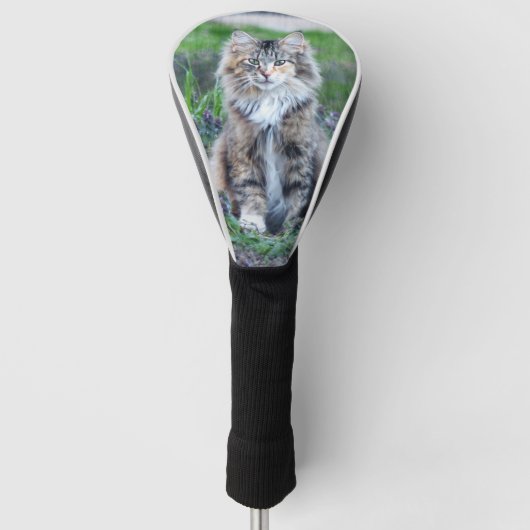 Calico Cat Golfheadcover (Voorkant)