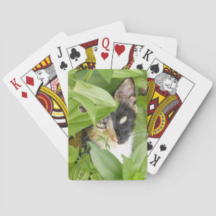 Calico Cat in de Zinnias Pokerkaarten