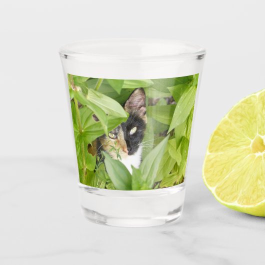 Calico Cat in de Zinnias Shot Glas (Voorkant)