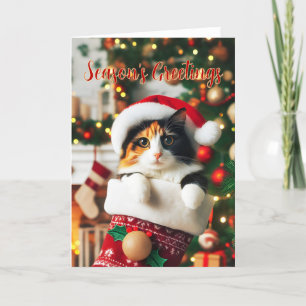 Calico Cat in een kerstkous Kaart