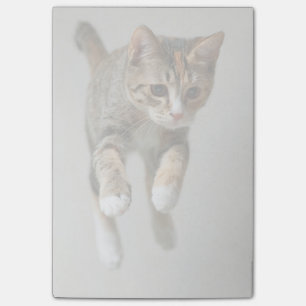 Calico Cat Jumping Post-it® Notes