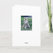 Calico Cat Kaart (Achterkant)