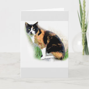 Calico cat kaart
