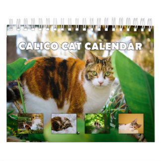 Calico Cat Kalender
