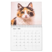 Calico Cat Kalender (Mar 2026)